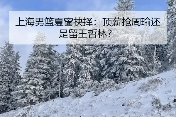 上海男篮夏窗抉择：顶薪抢周瑜还是留王哲林？